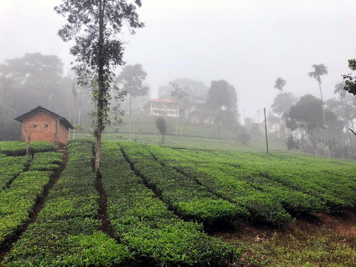 Vythiri Stream View Villa Exterior photo