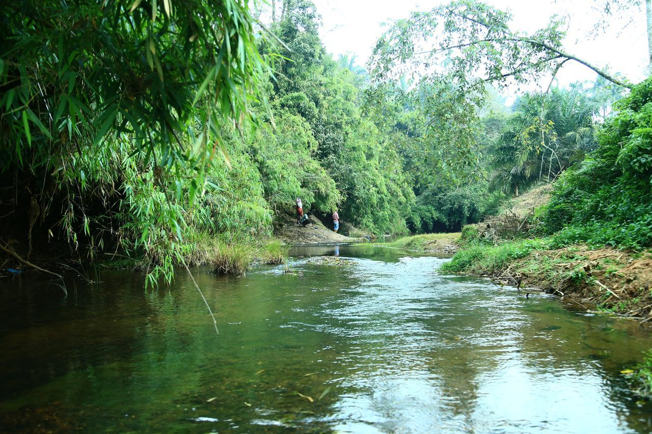 Vythiri Stream View Villa Exterior photo