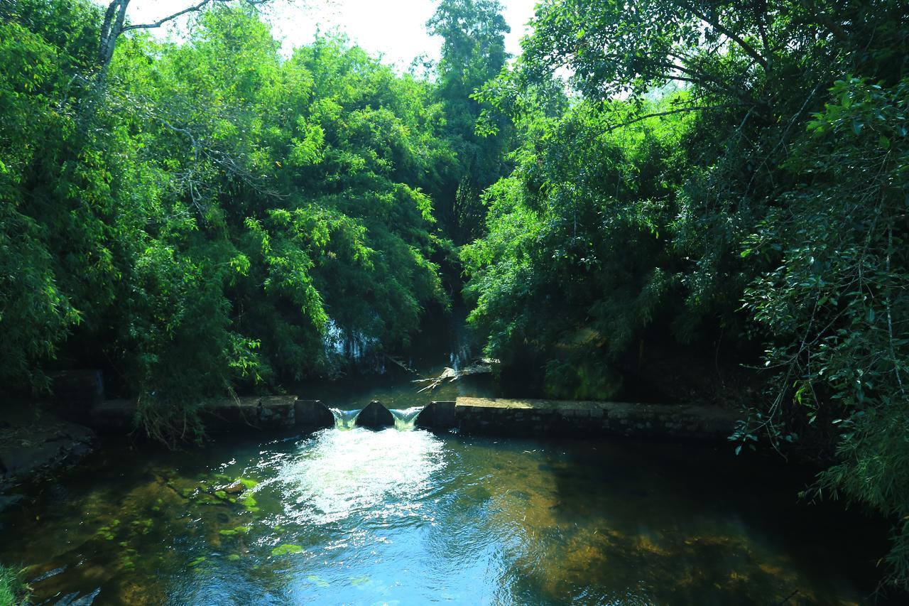 Vythiri Stream View Villa Exterior photo