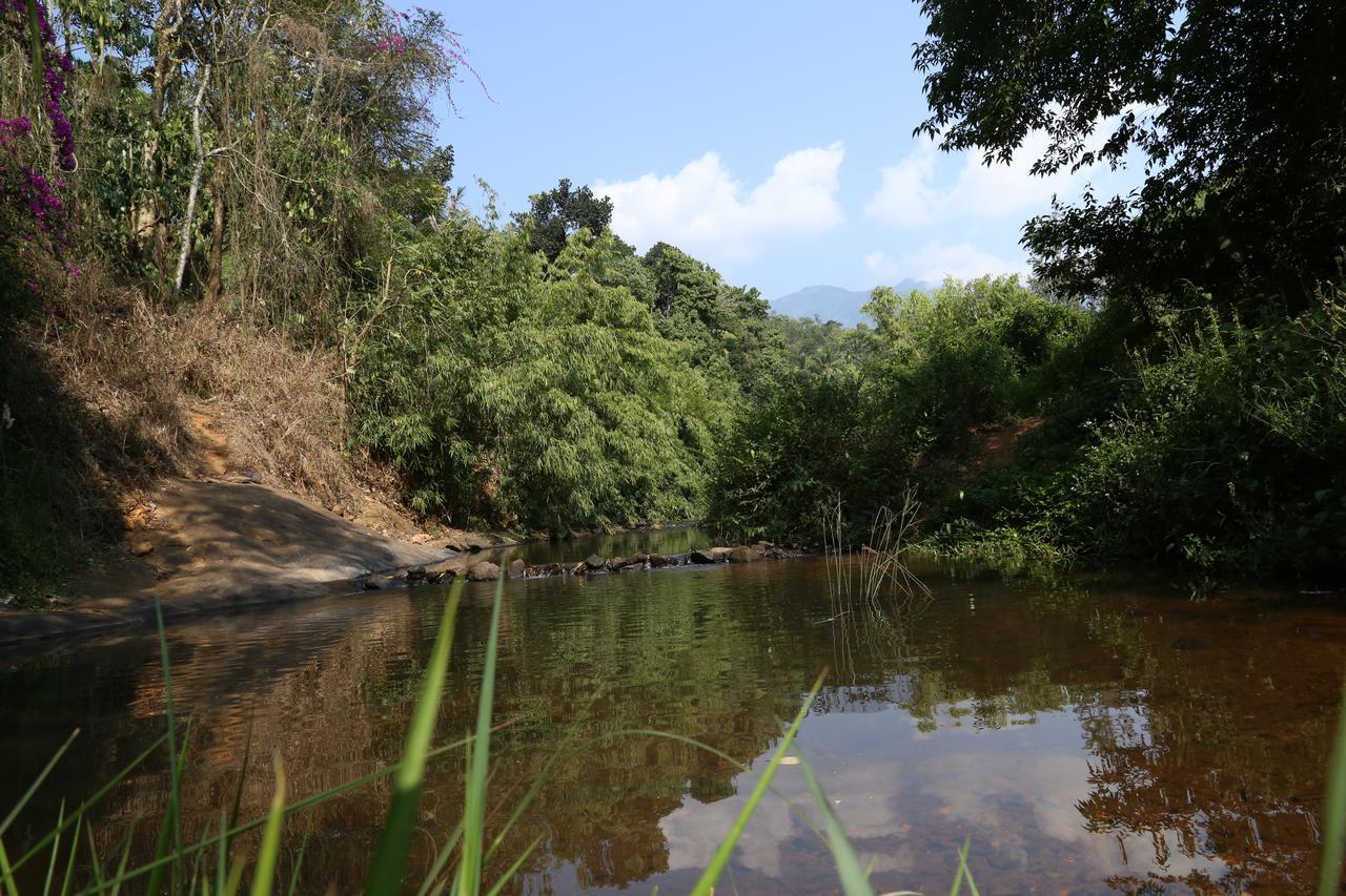 Vythiri Stream View Villa Exterior photo