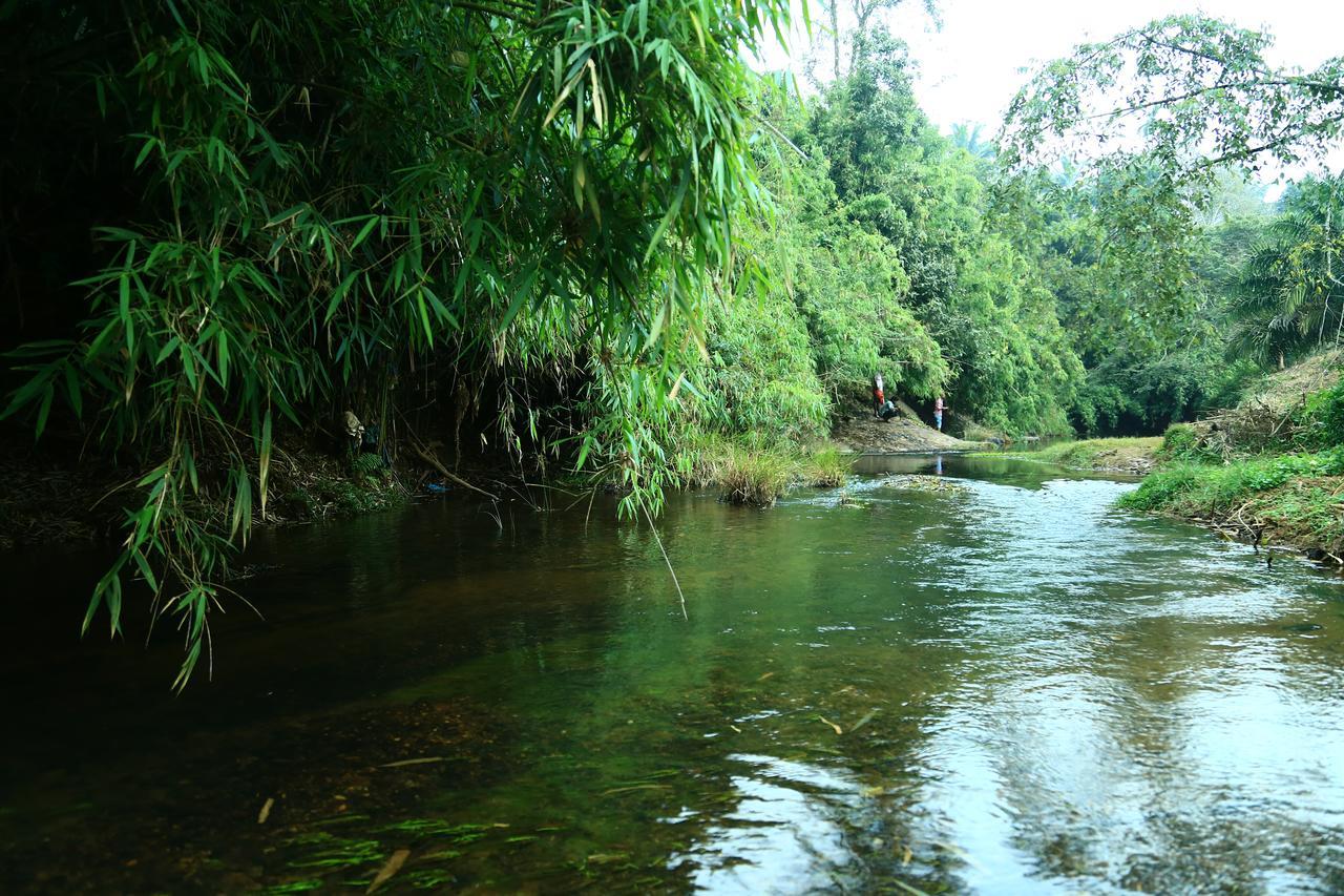 Vythiri Stream View Villa Exterior photo