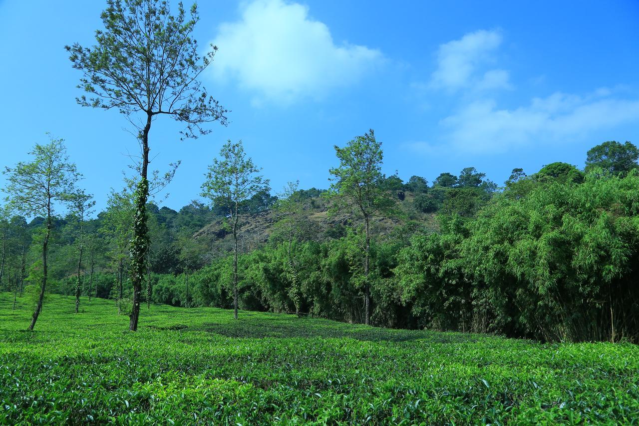 Vythiri Stream View Villa Exterior photo